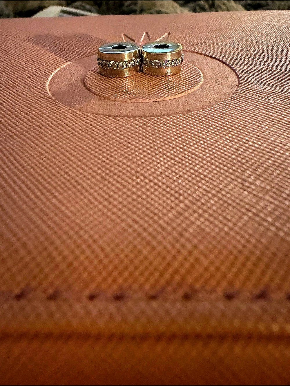 Silver Pandora Clips